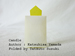 origami Candle, Author : Taiko Niwa, Folded by Tatsuto Suzuki